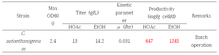 C. autoethanogenum 이용 bubble column 반응기 운전 정리 표