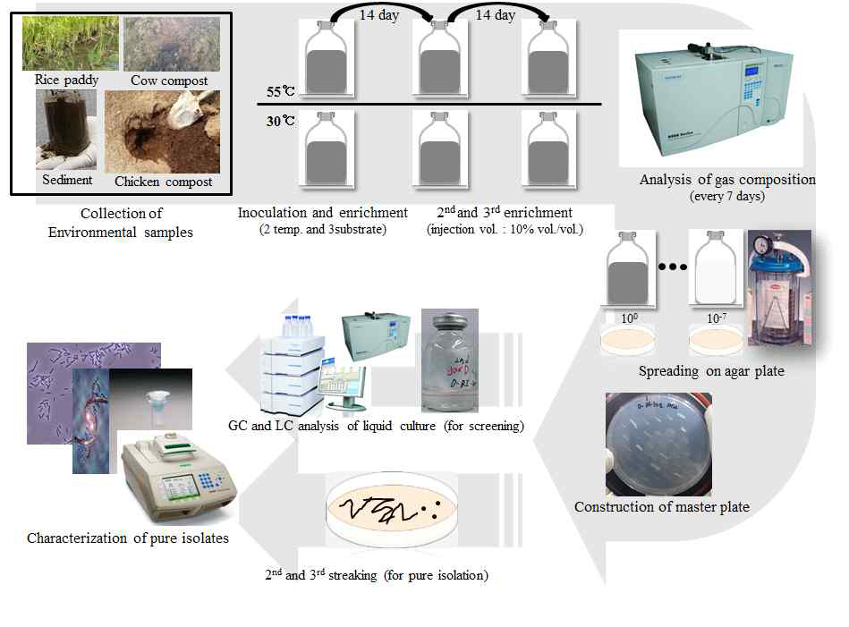 Strategy for selection of CO-utilizing, 2,3-BDO-producing acetogens