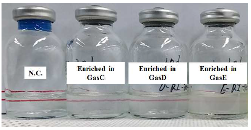 Turbidity of samples after 1st and 2nd enrichments