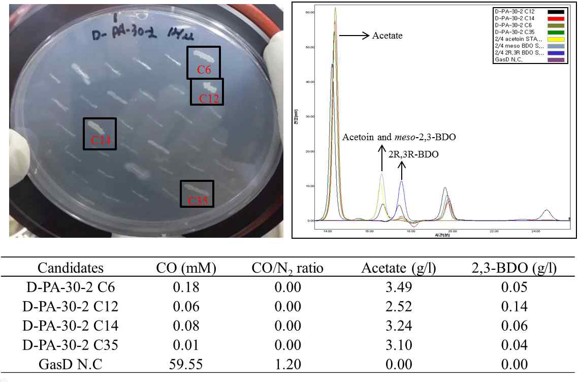 Isolation of CO-utilizing 2,3-BDO producing microbes from master plates