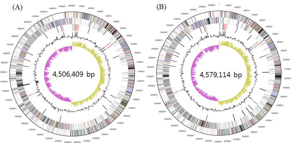 Genomic maps of D-PA-2_C12 (A) and E-AWRP-27_C17 (B) strains