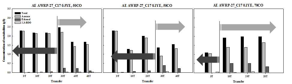 적응진화한 AWRP-C17 균주의 대사산물 분석