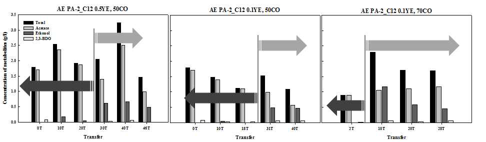 적응진화한 PA-C12 균주의 대사산물 분석