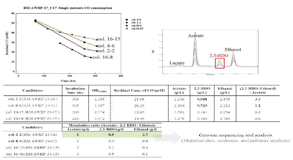 순수 분리 돌연변이 균주들의 성장 및 대사산물 분석