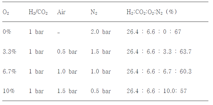 Gas composition in autotrophic growth of wild-type R. eutropha NCIMB11599