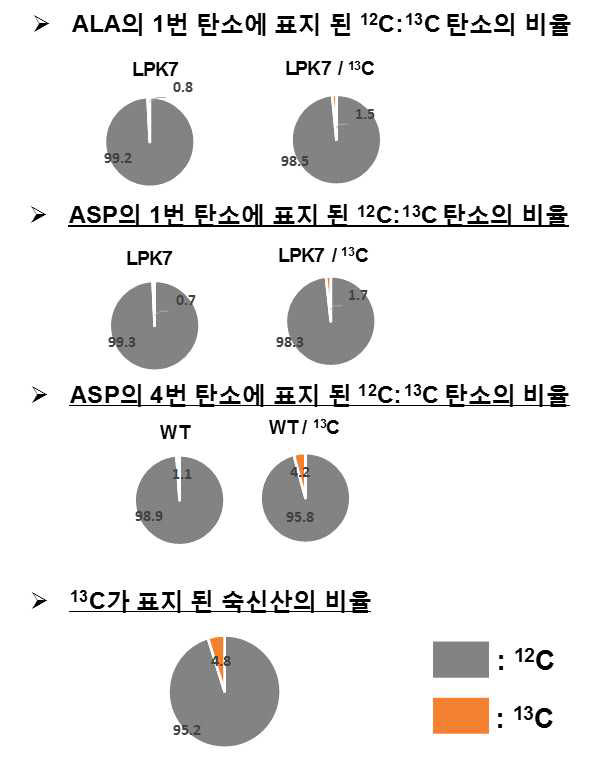 M. succiniciproducens LPK7 균주의 13C 개미산을 이용한 13C 대사 흐름 분석 결과. 회색과 주황색은 각각 12C와 13C가 표지된 화합물의 비율을 의미한다. LPK7과 LPK7/13C는 각각 M. succiniciproducens LPK7 균주로 12C와 13C이 표지된 개미산이 포함된 복합배지에서의 배양 결과를 뜻한다. 각 항목별로 기재된 수치는 생산된 특정 대사산물의 전체 양 중 12C와 13C 탄소가 포함된 특정 화합물의 비율을 표기한 것이다. 탄소원으로 9g/L의 포도당과 2 g/L 개미산이 사용됐다
