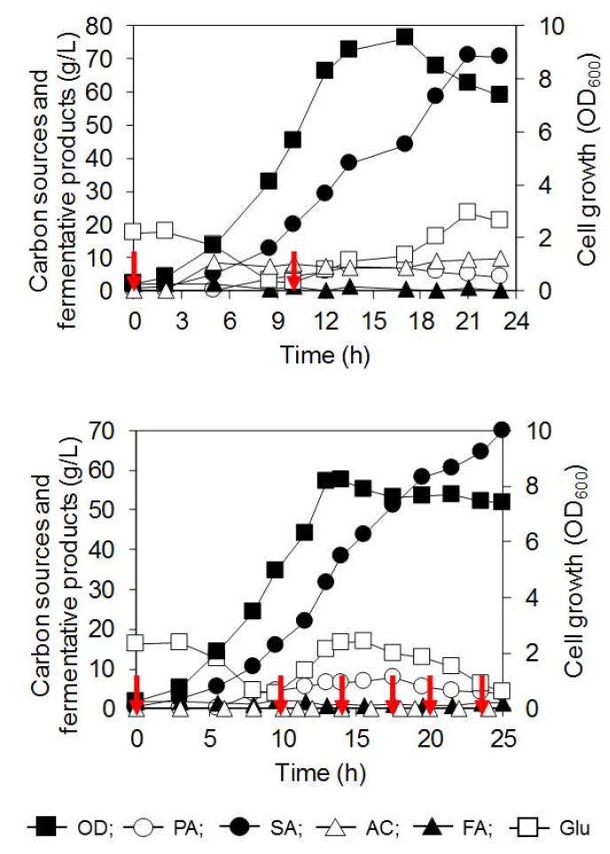 (위) LPK7 (pMS3)와 (아래) LPK7 (pMS3-fdh2) 균주의 합성배지에서의 연속 발효 결과. 탄소원은 포도당과 개미산을 사용했다. 빨간 화살표는 개미산을 2g/L가 되게 feeding한 시간을 의미한다