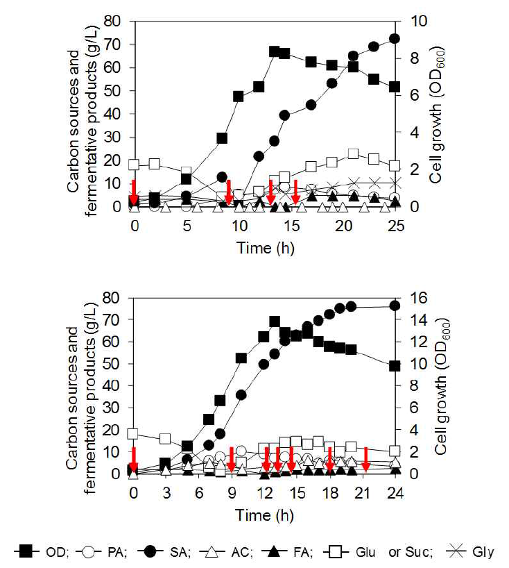 LPK7 (pMS3-fdh2) 균주의 합성배지에서의 연속 발효 결과. 탄소원은 (위) 포도당, 글리세롤, 개미산과 (아래) 수크로즈, 개미산을 사용했다. 빨간 화살표는 개미산을 2g/L가 되게 feeding 한 시간을 의미한다