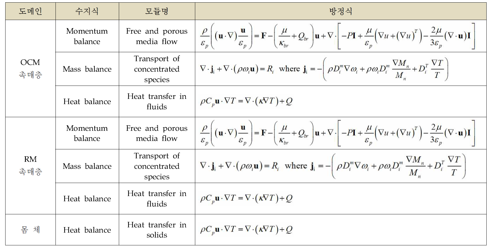 도메인에 설정된 지배방정식