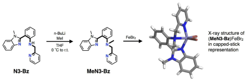 MeN3-Bz 리간드 합성 및 철(II) 착물의 X-선 단결정 구조 결정