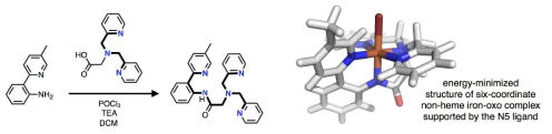 철-옥소 종을 지지할 수 있는 새로운 anilidopyridyl 기반 펜타덴테이트 리간드 합성과 착화합물 구조 모델링