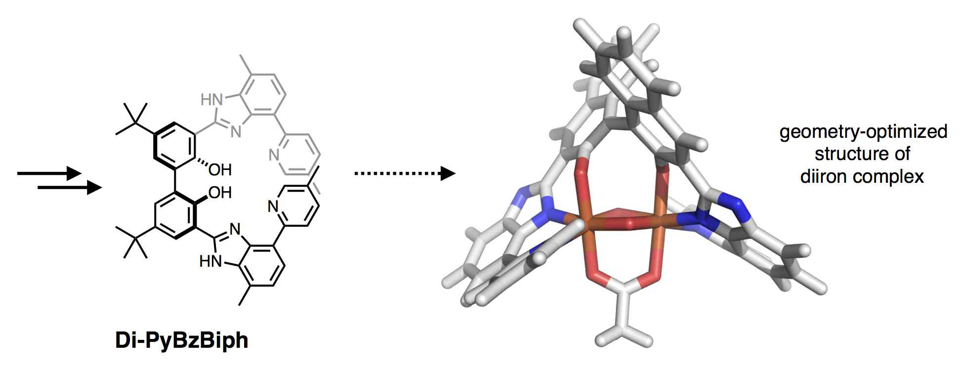 이핵 금속 중심을 지지할 수 있는 새로운 N4O2 헥사덴테이트 리간드 Di-PyBzBiph의 합성 및 예상되는 이핵 철(II) 착물의 3차원 구조