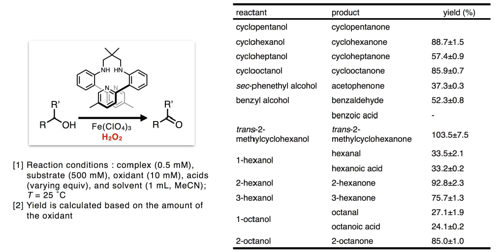 N4-Py 리간드와 Fe(III)에 기반한 금속촉매 시스템에 과산화수소를 산소 대체 산화제로 이용하여 알코올의 C-H 결합을 산화시키는 반응에 조촉매로 작용하는 브뢴스테드 산이 미치는 영향