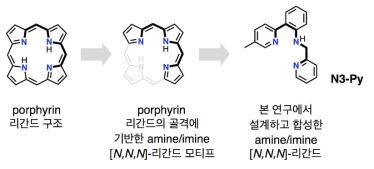 파이-컨쥬게이션에 기반한 포르피린 리간드와 본 연구의 1단계에서 목표로한 N3-Py 리간드의 구조적 유사성과 차이점