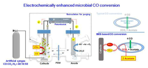 CO전환 생물전기화학반응시스템의 구조 및 반응메카니즘