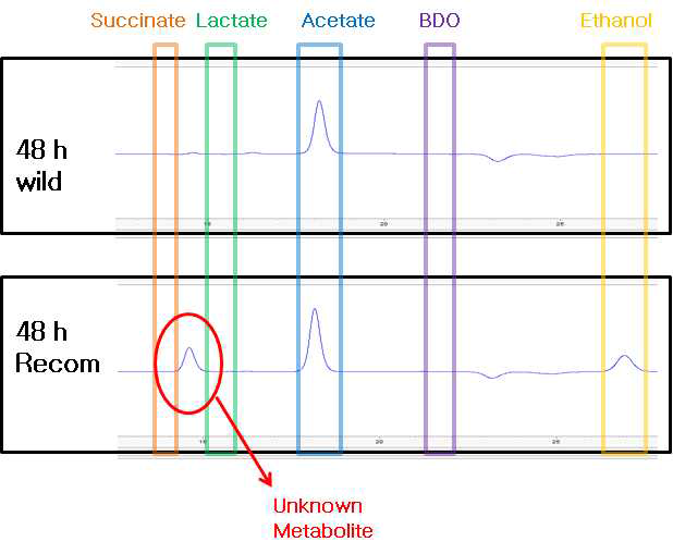 BES 운전 조건에서 아세테이트로부터 생산된 대사산물의 HPLC 분석시 발견된 unknown peak