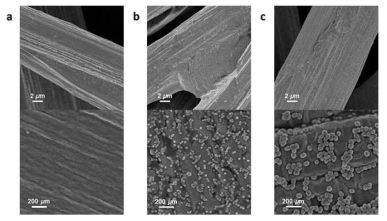 (a) 금속 나노입자가 도입되지 않은 탄소 전극, (b) 17 nm 크기의 구형 금 나노입자를 도입한 탄소 전극, (c) 44 nm 크기의 구형금 나노입자를 도입한 탄소 전극의 주사 전자 현미경 이미지