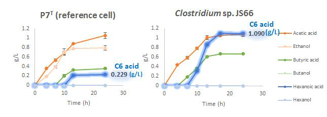 C. carboxidivorans P7과 Clostridium sp. JS66의 당배양 대사산물 비교