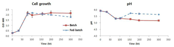 Batch, Fed-batch에서의 cell growth, pH 비교