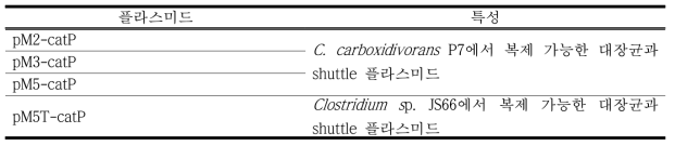 C. carboxidivorans P7과 Clostridium sp. JS66에 형질전환된 shuttle 플라스미드