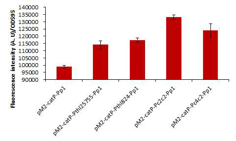 C. carboxidivorans P7에서 각종 thiolase promoter에 의한 GFP 발현량 비교