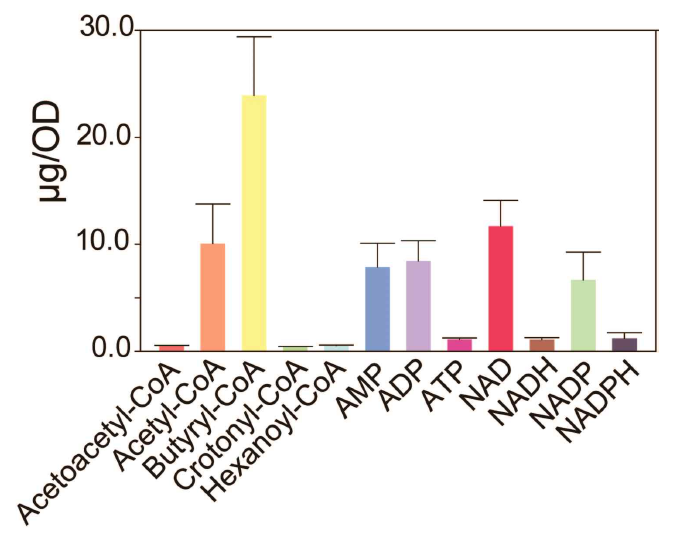 세포 내 Wood-ljungdahl pathway 및 유기산 생산 중간물질과 에너지 cofactors 13종의 정량