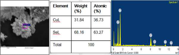 CuSe2의 EDS 결과