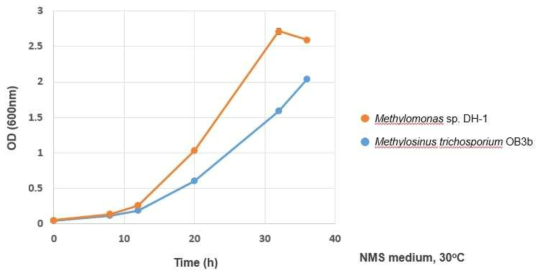 Methylomonas sp. DH-1, Methylosinus trichosporium OB3b의 메탄 대사 속도