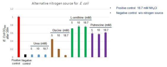 대장균에 대한 대체 질소원 탐색