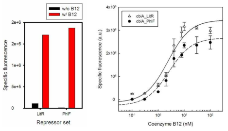 서로 다른 repressor set을 추가했을 때 형광값과 용량-반응 곡선