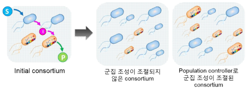 Population controller를 이용해 화합물 고생산능을 가지도록 microbial consortium의 조성을 유도