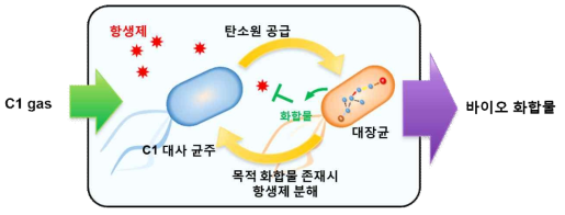 population controller가 적용된 미생물 컨소시움에서의 균주 군집 조절 메커니즘