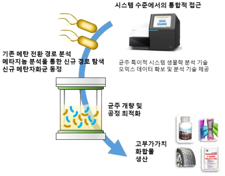 시스템 수준에서의 통합적 접근 방법 도입을 통한 균주 개량