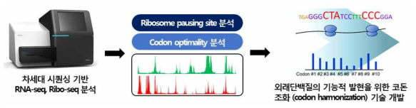 대장균 내 MMO의 기능적 발현을 위한 유전자 서열 엔지니어링