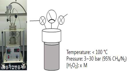 액상 반응시스템 및 도식도