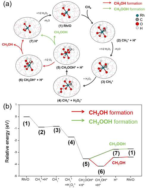 RhZr-Hyd (4.3 OH/nm2) 모델에서 메탄과 과산화 수소의 반응을 통한 CH3OOH 및 메탄올 생성 메커니즘 및 상대 에너지 다이어그램