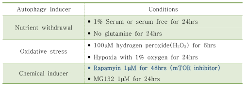 Optimized conditions for induction of autophagy in vitro