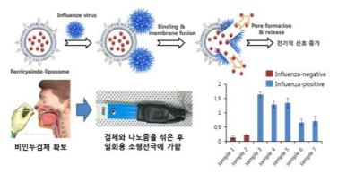 전기화학센서를 이용한 나노좀 기반 인플루엔자 바이러스 신속 검출 기술