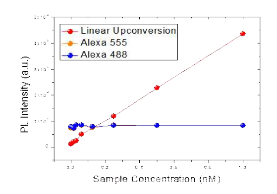 선형 업컨버젼 형광과 Alexa 염료들의 일반 형광의 혈청 환경에서의 신호 감도 비교