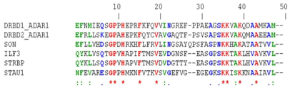 인플루엔자 NS1 단백질과 상호작용 하는 단백질들의 DRDD 도메인 (47개 아미노산) 서열 비교