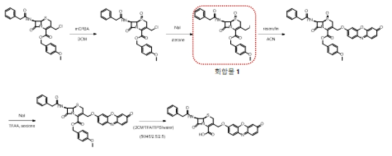 Resorufin conjugated betalactam 형광체 합성(1)