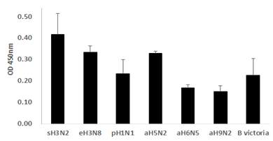 다양한 인플루엔자 A 대한 H3N2 HA antibody 클론 7A9의 반응성
