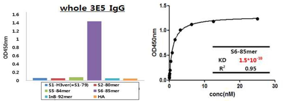 바이오유해물질 검출용 항체(3E5) 후보군의 Kd value