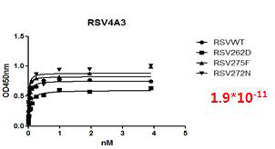 바이오유해물질 검출용 항체(RSV-4A3)후보군의 Kd value