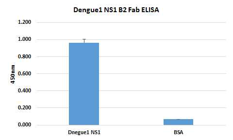 표적항원 Dengue 1-NS1에 결합하는 단일 항체 후보군 개발