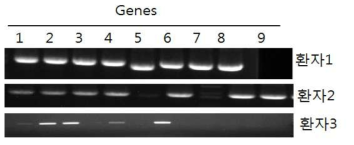 환자 3명의 검체로부터 9개 유전자 증폭 산물의 전기영동사진 1: emrB, 2: tet, 3: vanW, 4: bcr, 5: 23S methyl transferas, 6: murN,7: pmrA, 8: mef, 9: vanG 유전자