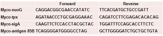 병원성인자 nuoG, tpX, sigA 그리고 85B antigen을 이용한 진단 마커 서열
