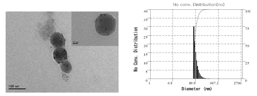 Levan@Eu 나노입자의 TEM image (왼) DLS (오) data