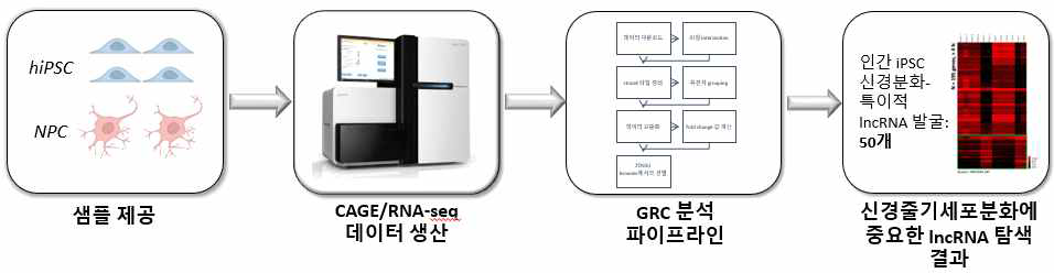 NPC-특이적 lncRNA 발굴 실험 및 문석 구도