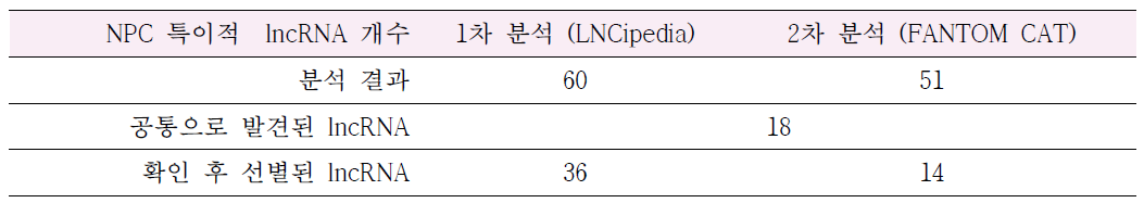 NPC 특이적 lncRNA 선별에 대한 분석 결과 (1,2차 통합)